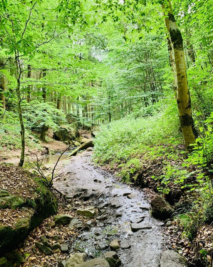 Tailor'S Trail Gite D'Adventure Beaufort Mullerthal Buitenkant foto