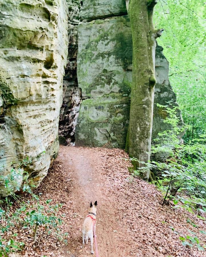 Tailor'S Trail Gite D'Adventure Beaufort Mullerthal Buitenkant foto